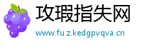 攻瑕指失网